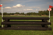 Fence 1
