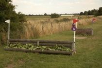 Fence 11a & b