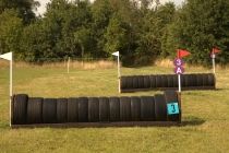Fence 3a & b