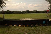 Fence 6