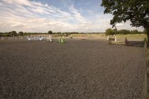 Main Arena 4